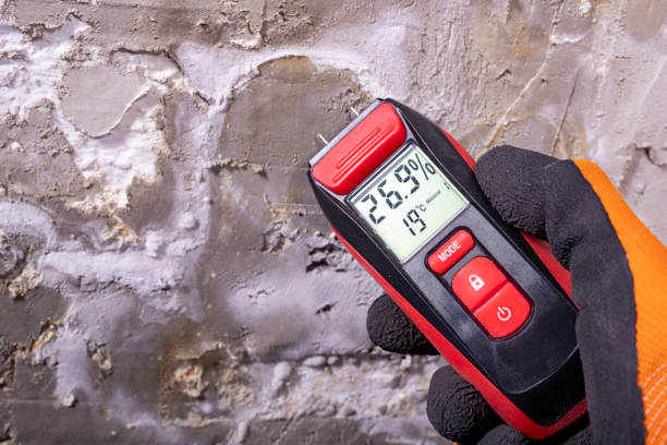 Best Mold Damage Repair  in Twin Lakes, CO