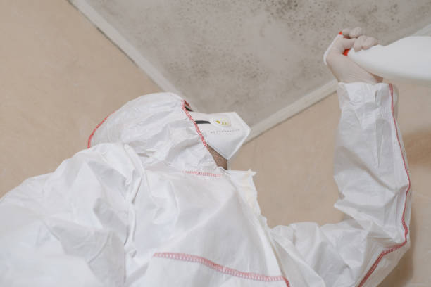 Best Mold Remediation  in Twin Lakes, CO