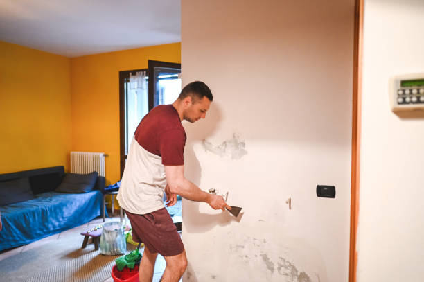 Best Mold Remediation Experts  in Twin Lakes, CO